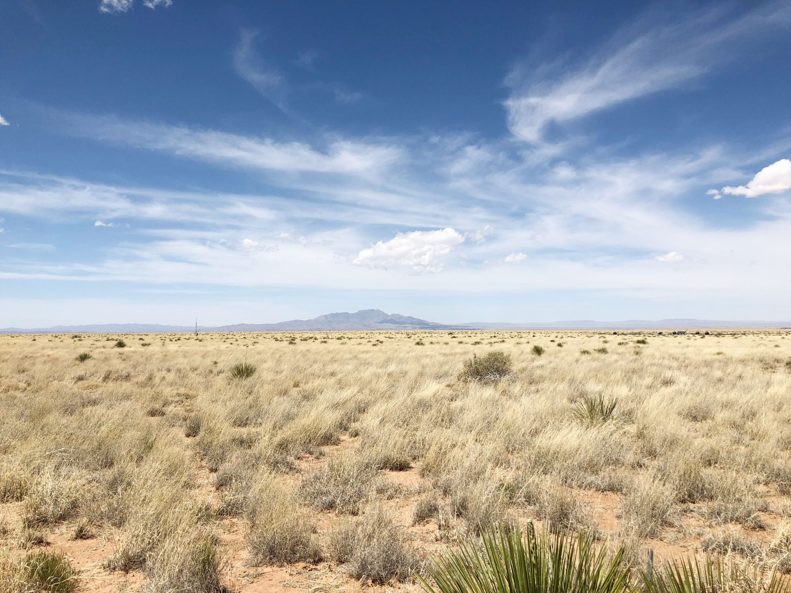 sevilleta-national-wildlife-refuge-sevilleta-long-term-ecological