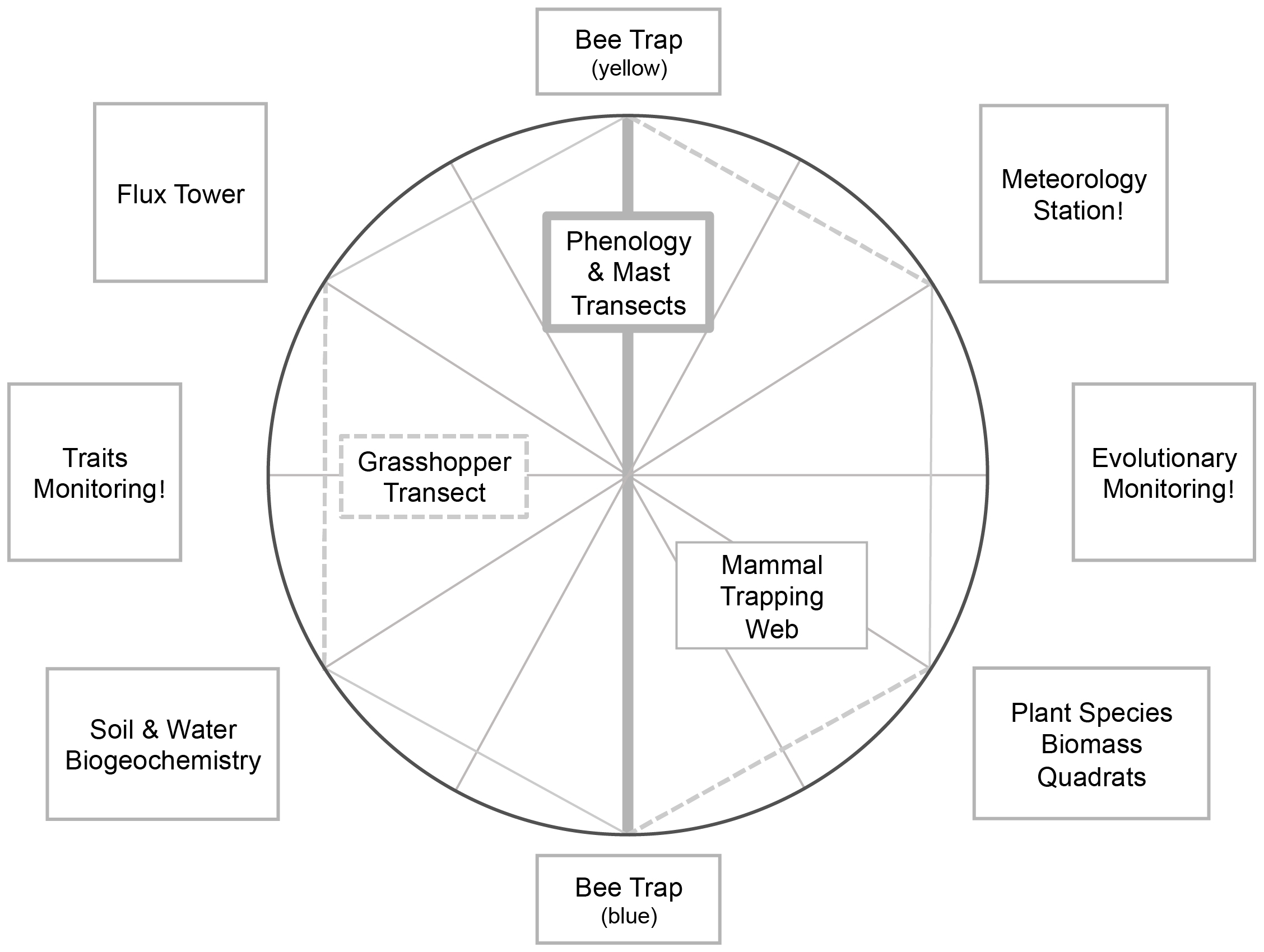 Twelve transects radiate from a central point like spokes on a wheel, constituting the mammal trapping web. Along one spoke is the grasshopper transect and on another are phenology and mast transects. The remaining monitoring projects are stationed around the outside of the wheel.