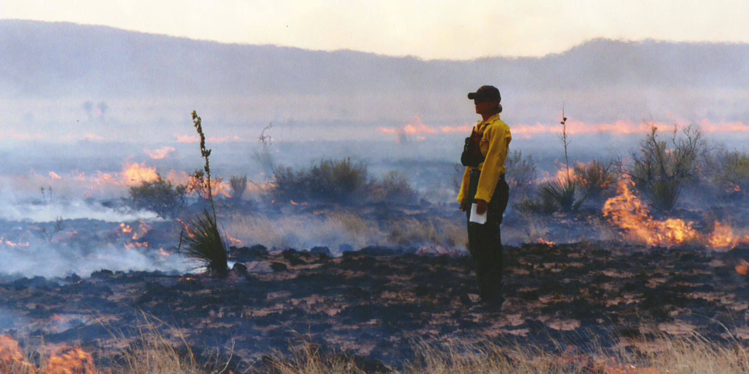 A fire monitor watches a controlled burn, as grasses and yuccas stand in flames behind her.