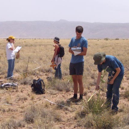 Four researchers set up a vegetation-monitoring plot at a burn experiment site.