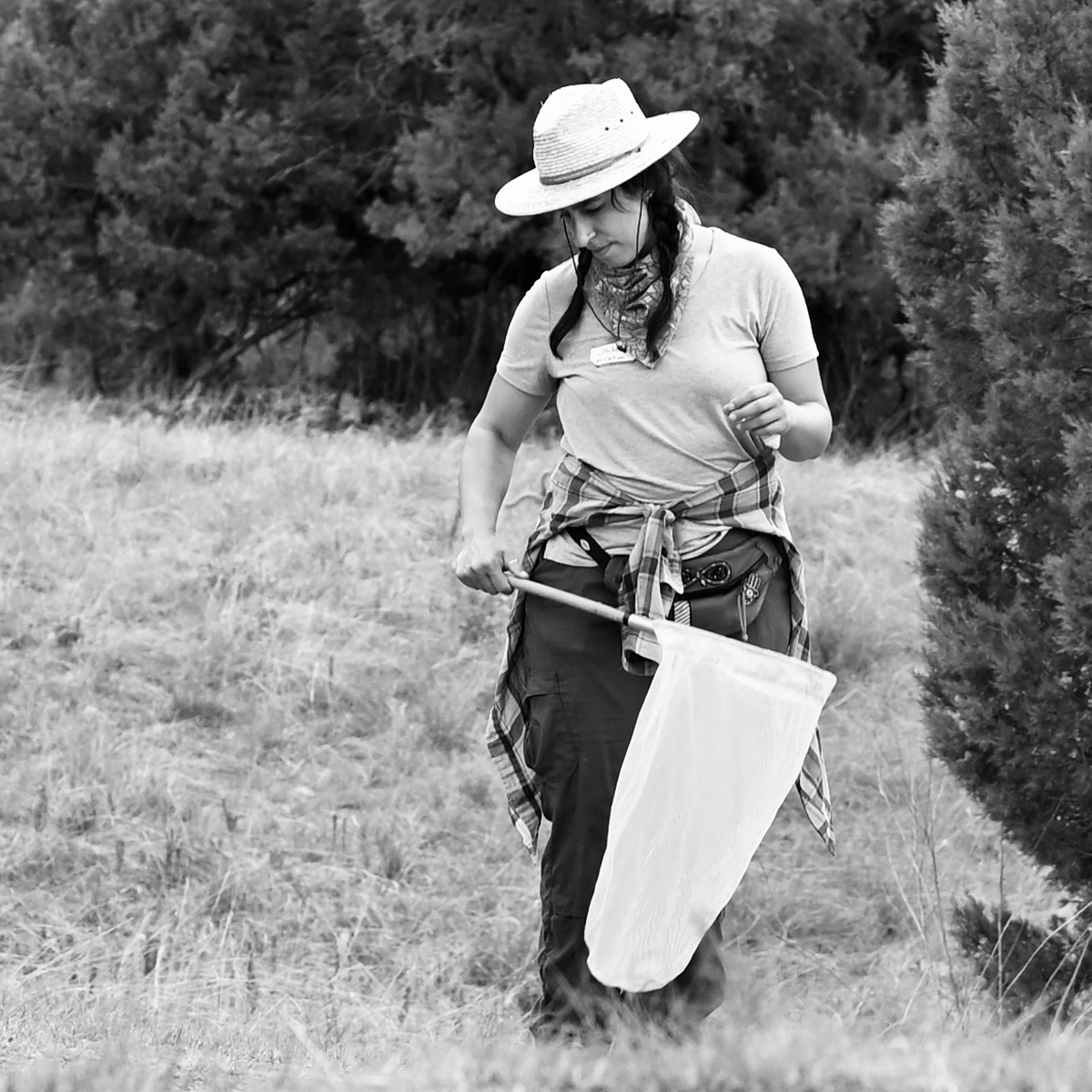 Field crew member Jade McLellan stands in a field, holding a butterfly net.